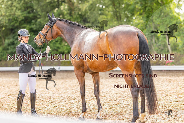 RPF 4 Filsum (51 von 535) | mandyhollmannphotographie