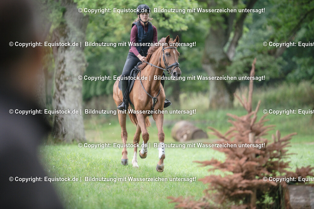 20250726_Vielseitigkeitslehrgang-Marbach_0236 | Foto: Thomas Hartig