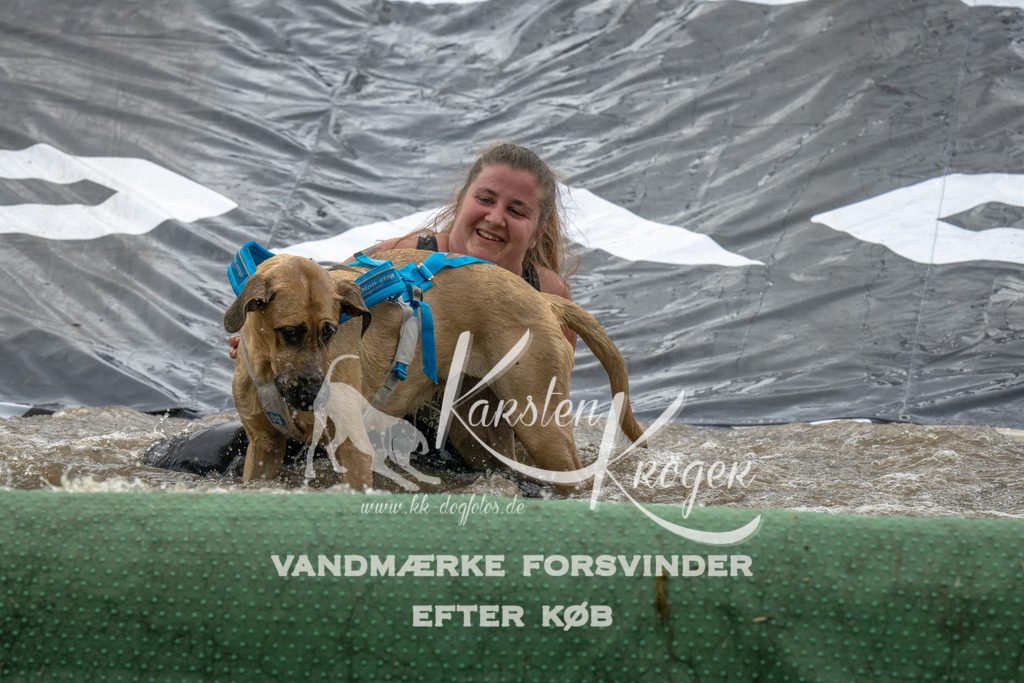 1541_ZZ94949 | kk-dogfotos