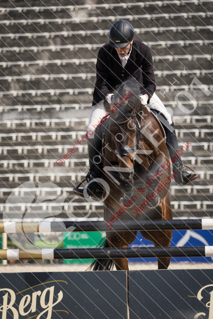 IMG_4358 | Sport-, Event- und Tierfotos in Profiqualität. Einfach auswählen, bestellen und herunterladen. Dein Moment – perfekt festgehalten.