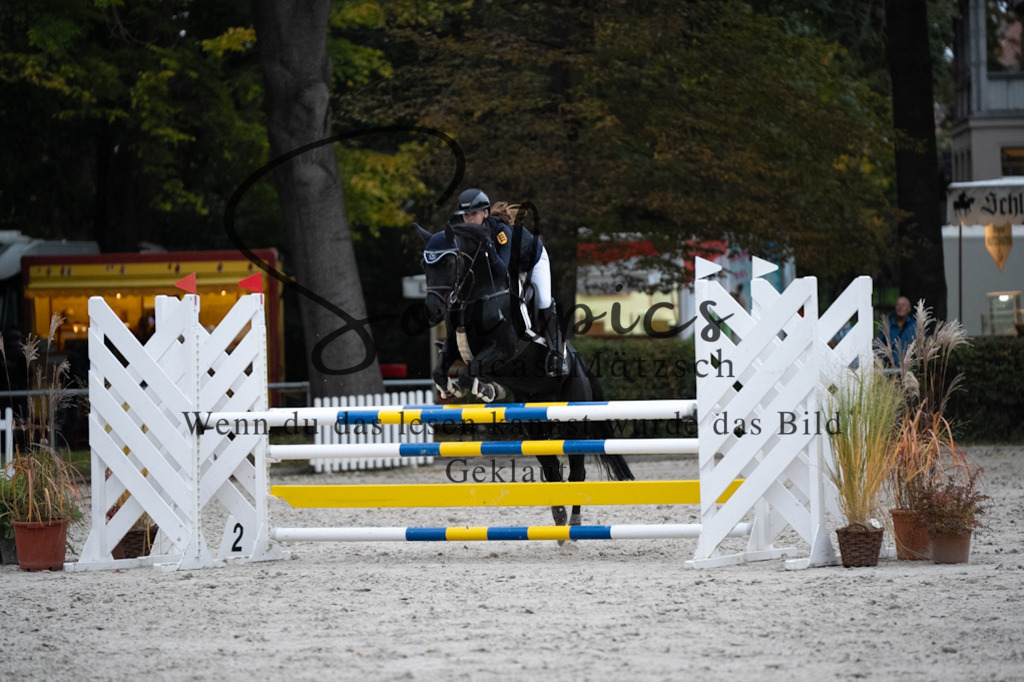 A7V08840 | Turnier/Reitfotograf