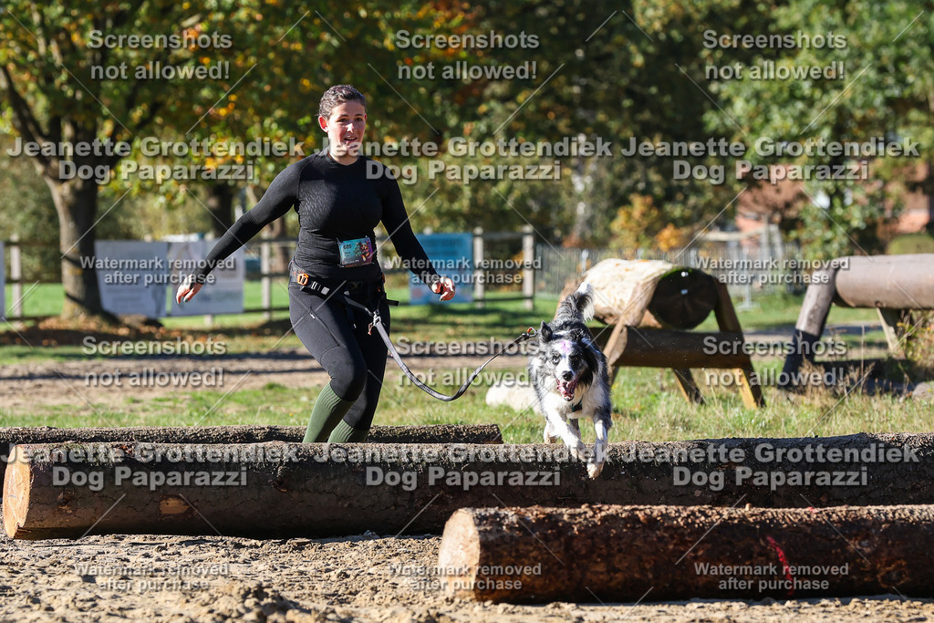 Dog Paparazzi - Strongdog 10-25-1976 | Dog Paparazzi Jeanette Grottendiek Fotografie & Videografie - Realisiert mit Pictrs.com