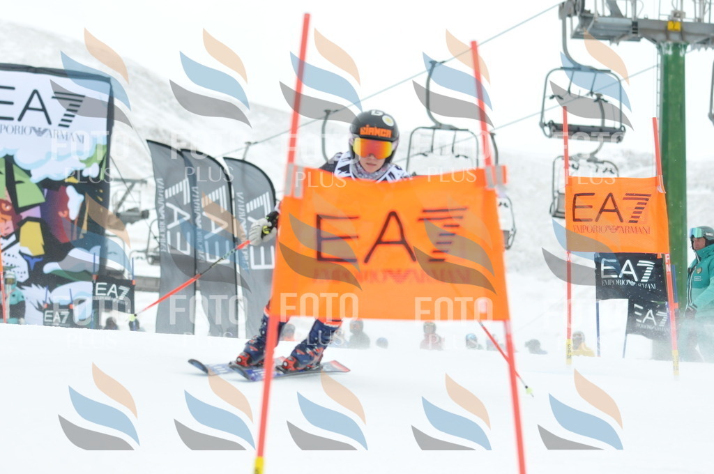 DSC_8800 | holidayphoto