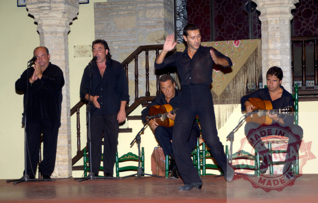 Spanish flamenco dancers and musicians performing on stage | Flamenco performers dancing and singing with guitarists on a stage in España - Realized with Pictrs.com
