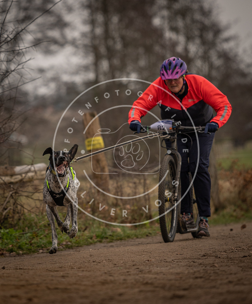 Pfotenfotografie_DV3A3980 | Hundefotografie, Tierfotograf, Pfotenfotografie, Fotoshooting Hund, Hunde Portrait, Hundesport, Hundeportraits, Heideshooting, Hunde, Sportfotograf, Hundefotograf, Turnierhundsport, THS,  - Realisiert mit Pictrs.com