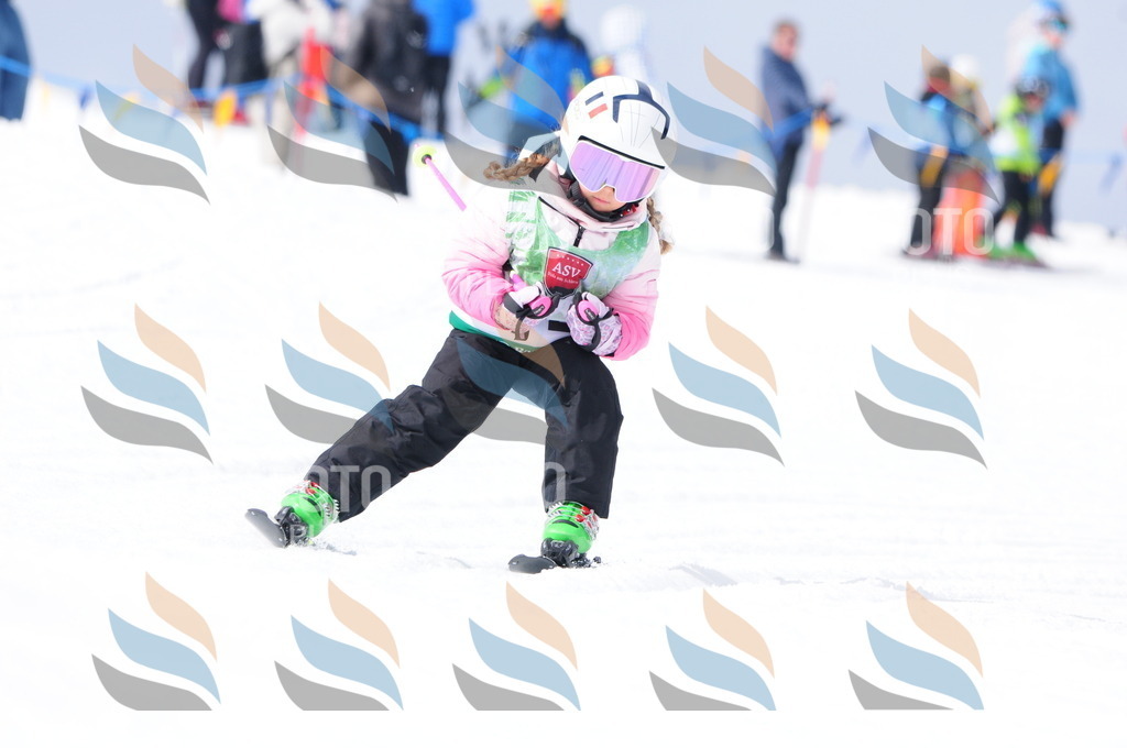 A3702 | holidayphoto