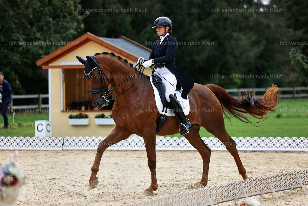 11-141-Dressur S___-Marixx-1832 | working equitationturnier fotograf videograf stoibphotography marixx film working equitation deutschland reitsport turnierfotografie eventfotografie equestrian events
