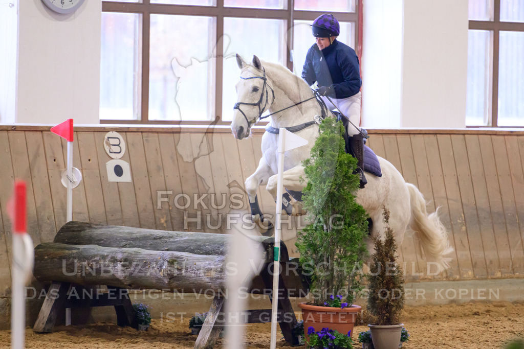 29032026-Schwaiganger-Prfg03-2-0198 | Fokus Hufschlag Fotografie - Realisiert mit Pictrs.com
