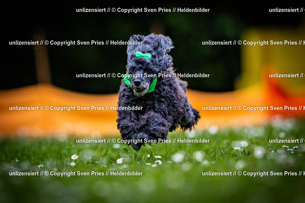 Sven Pries | 2025-05-29 - Pudelrennen KA-Durlach - Realisiert mit Pictrs.com