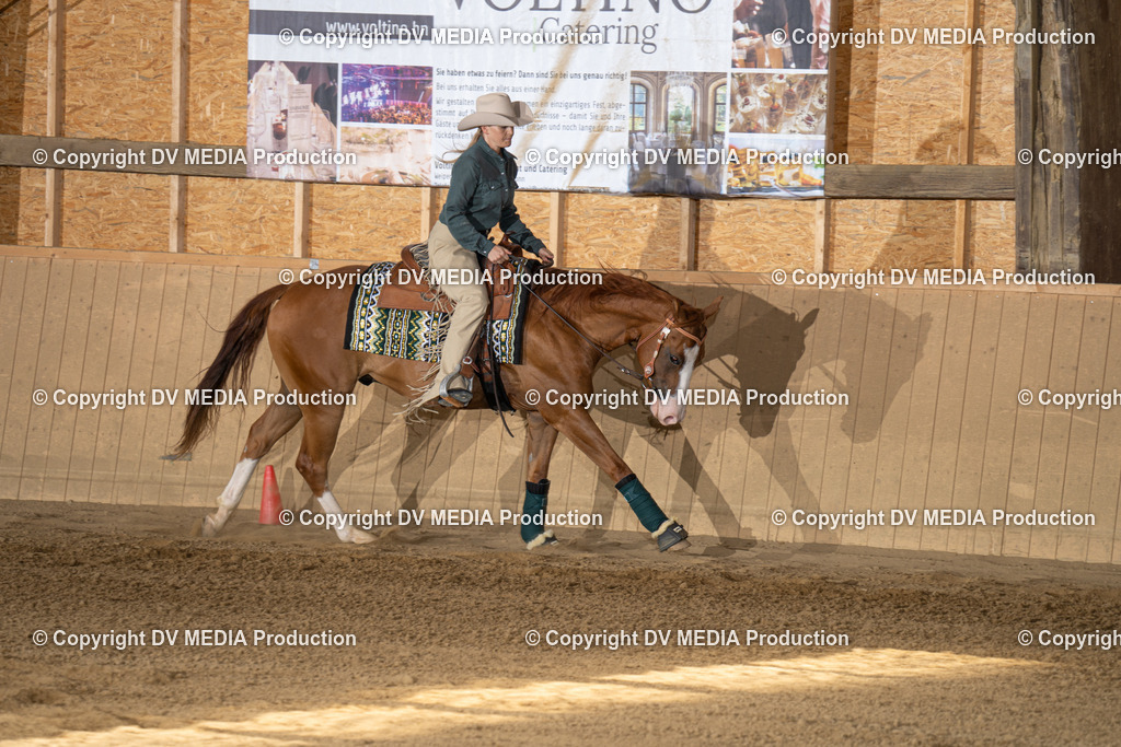 DSC00057 | dv-media-shop - Realisiert mit Pictrs.com