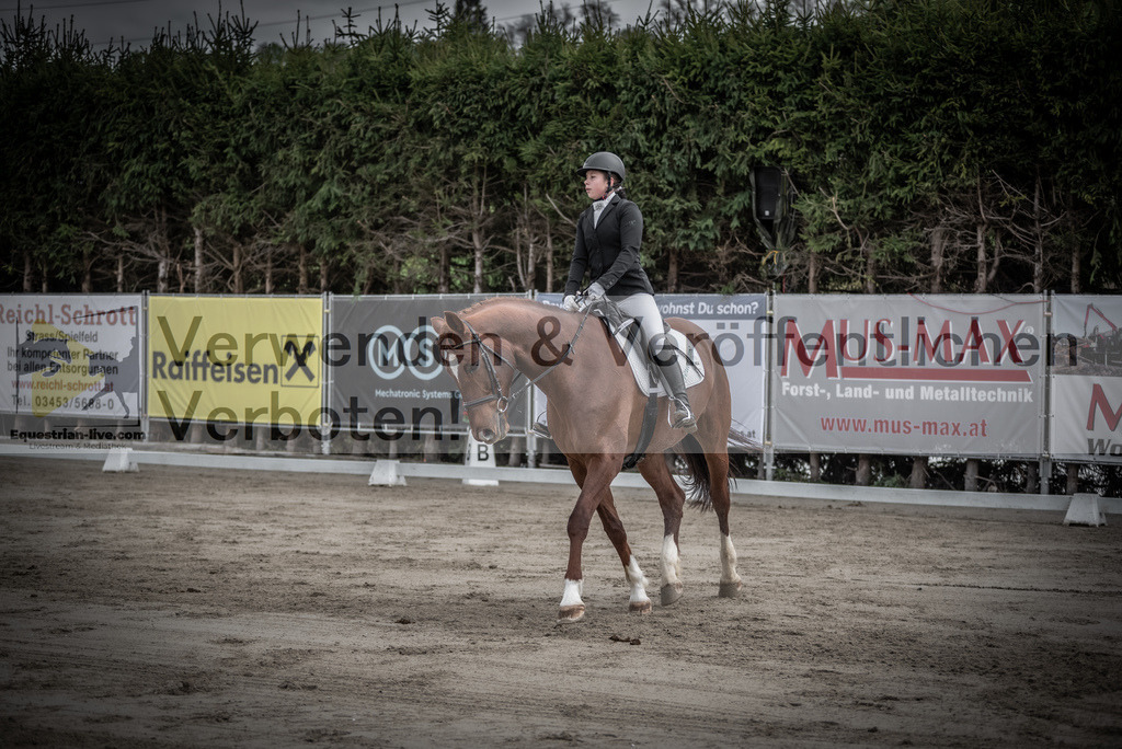 DSC_8949 | equestrian-live-com