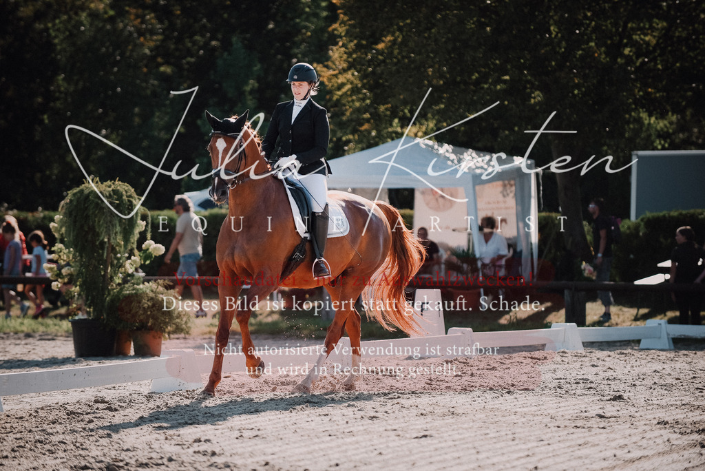 DSC_0450 | Pferde- und Turnierfotografie in Westsachsen. Pferdeportraits, Auftragszeichnungen und intuitive Kunst.