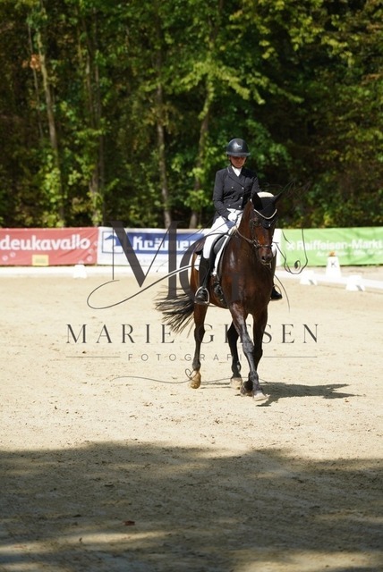 VAN02525 | Marie Giesen Fotografie - Realisiert mit Pictrs.com