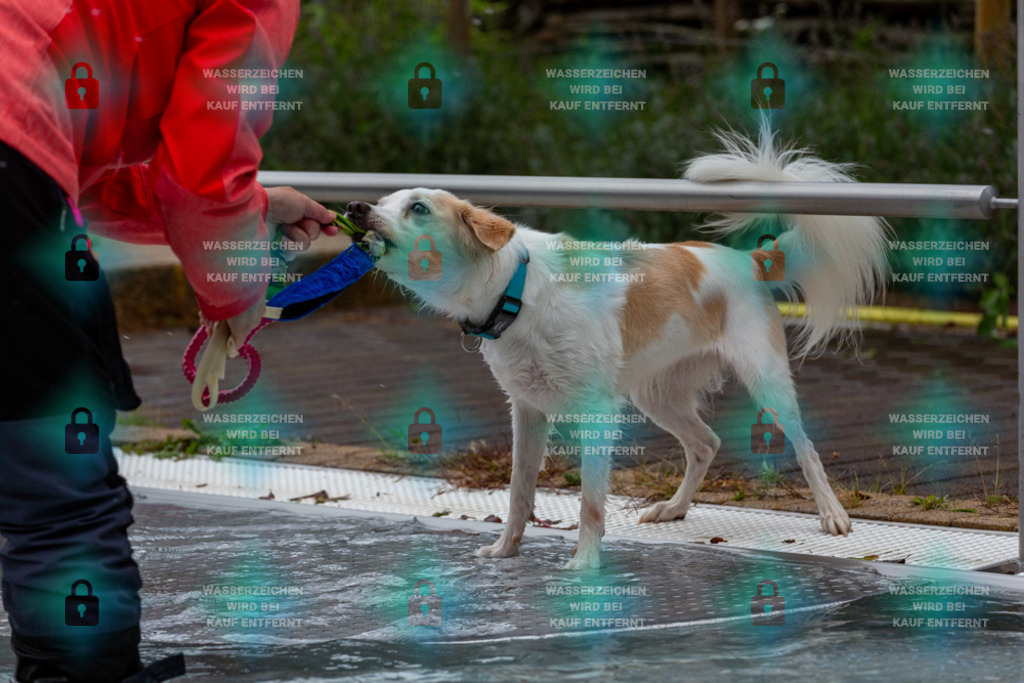 _HP_6239_1000o | HetPix, HetPix Fotodesign, Fotografie, Fotodesign, Webshop, Sportfotografie, Portraitfotografie, Onlineshop, Sportfotografie, Polch, Motorsportfotografie, Eventfotografie