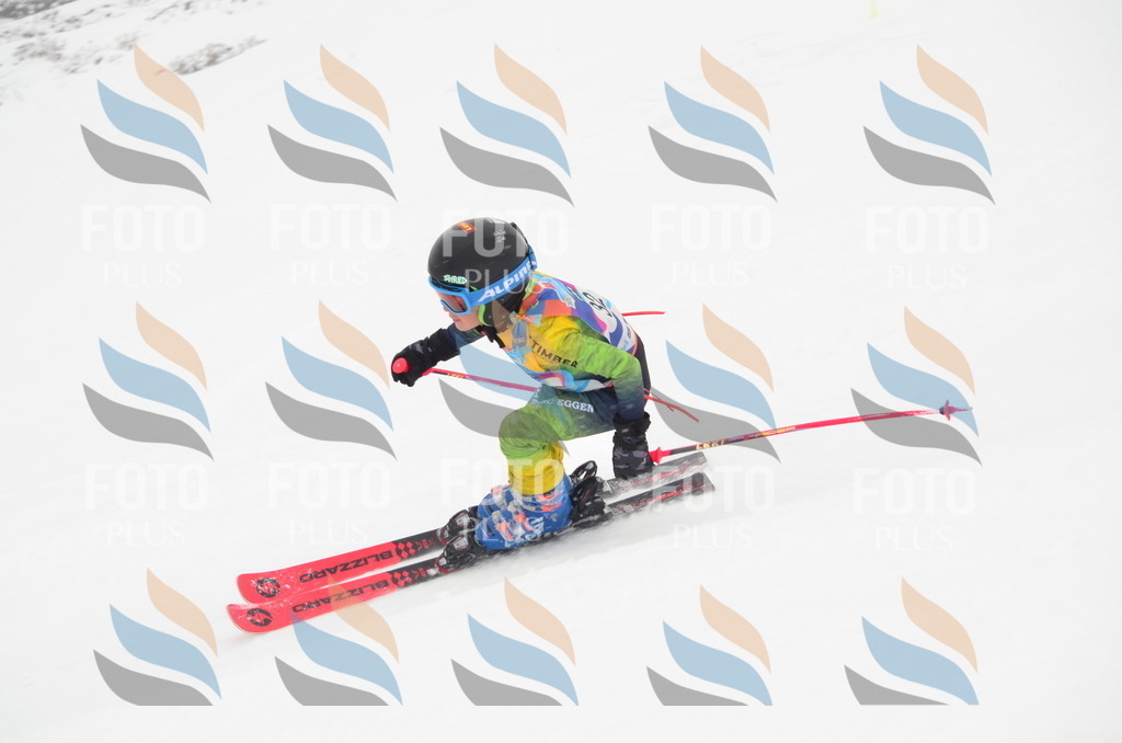 C0774 | holidayphoto