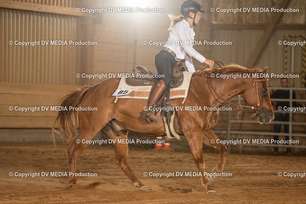 NID03888 | dv-media-shop - Realisiert mit Pictrs.com