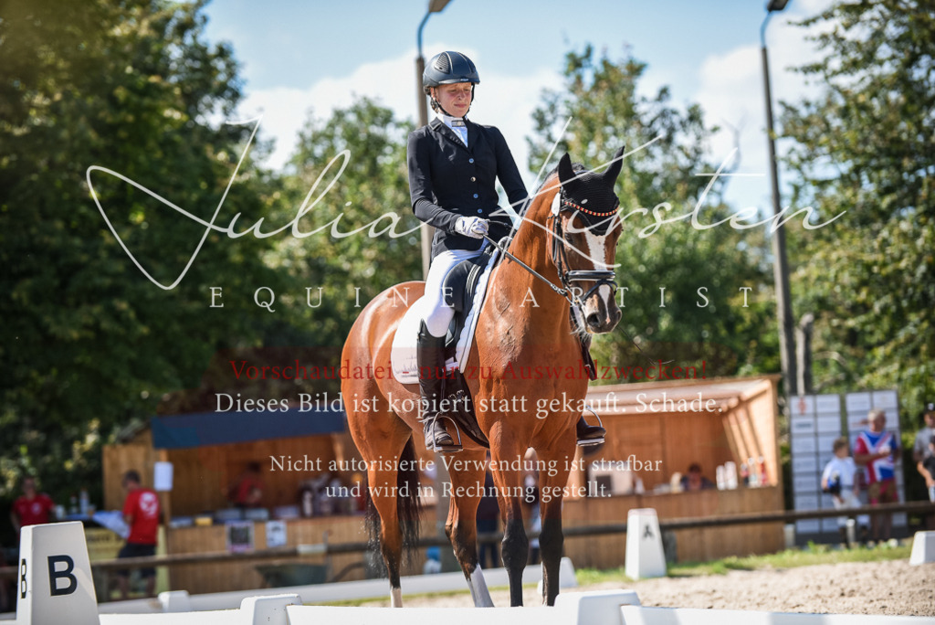 DSC_9501 | Pferde- und Turnierfotografie in Westsachsen. Pferdeportraits, Auftragszeichnungen und intuitive Kunst.