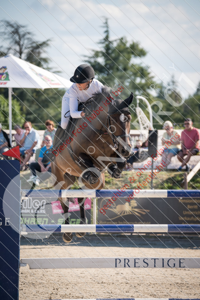 DSC_3862 | Sport-, Event- und Tierfotos in Profiqualität. Einfach auswählen, bestellen und herunterladen. Dein Moment – perfekt festgehalten.