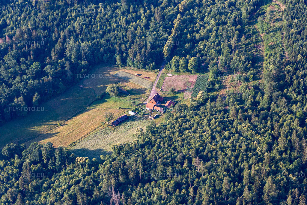 Vue aérienne: Vue de la ville à Wingen dans le département Bas Rhin, France. Photo: IMG_120941.jpg prise le 26/06/2020 par Werner Riehm/FLY-FOTO.euRésolution de l'original: 5472 x 3648 px