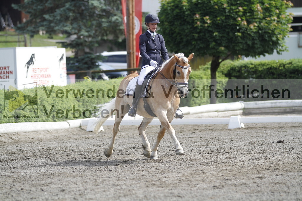 _MG_9667 | equestrian-live-com