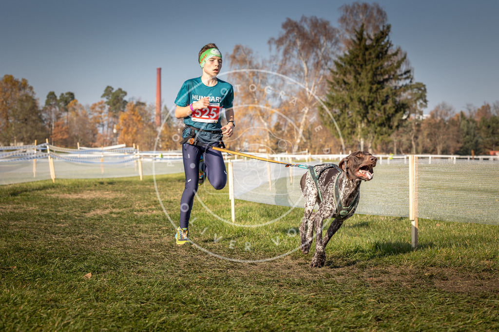 CaniXpix_0L8A8830 | Hundefotografie, Tierfotograf, Pfotenfotografie, Fotoshooting Hund, Hunde Portrait, Hundesport, Hundeportraits, Heideshooting, Hunde, Sportfotograf, Hundefotograf, Turnierhundsport, THS,  - Realisiert mit Pictrs.com