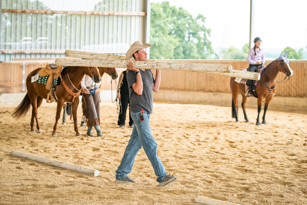 DSC07493 | Pferdegrafie