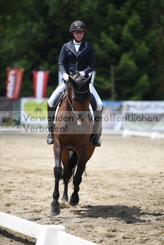 DSC_9441 | equestrian-live-com