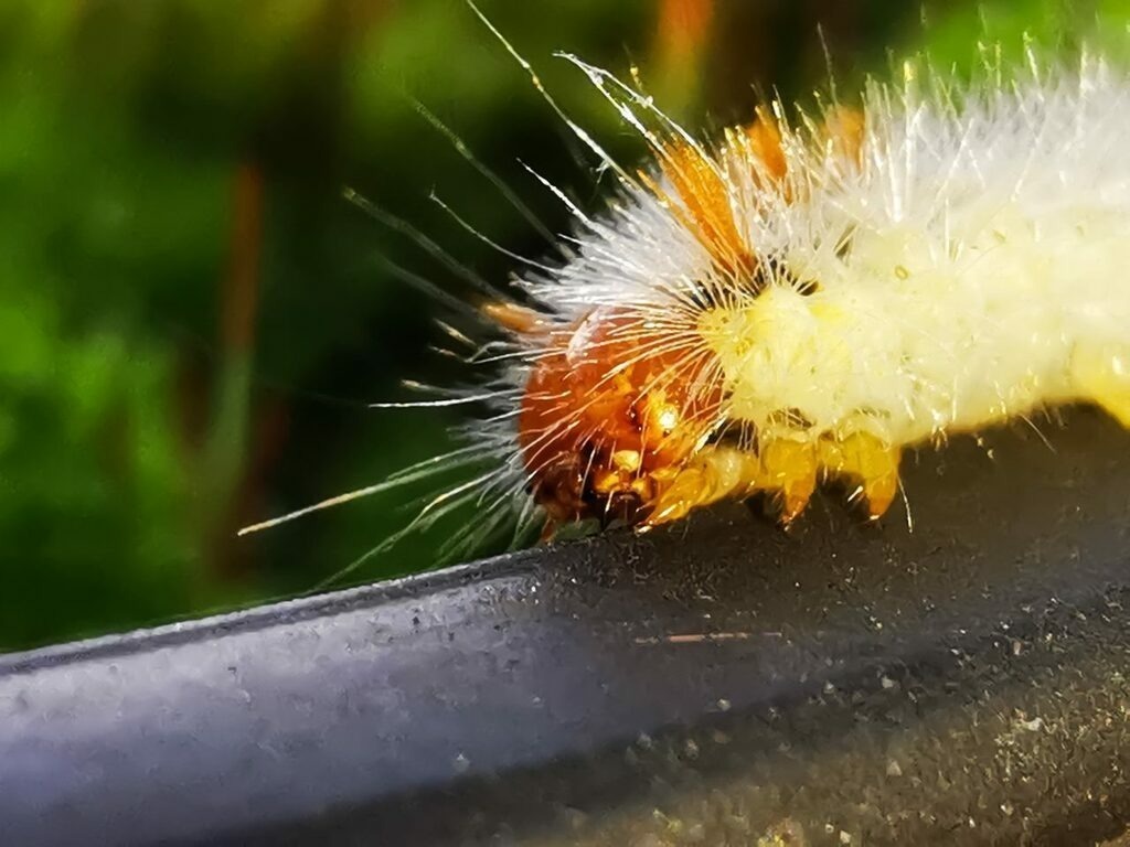 PSX_20221026_222746 | mtkfoto_ - Realisiert mit Pictrs.com