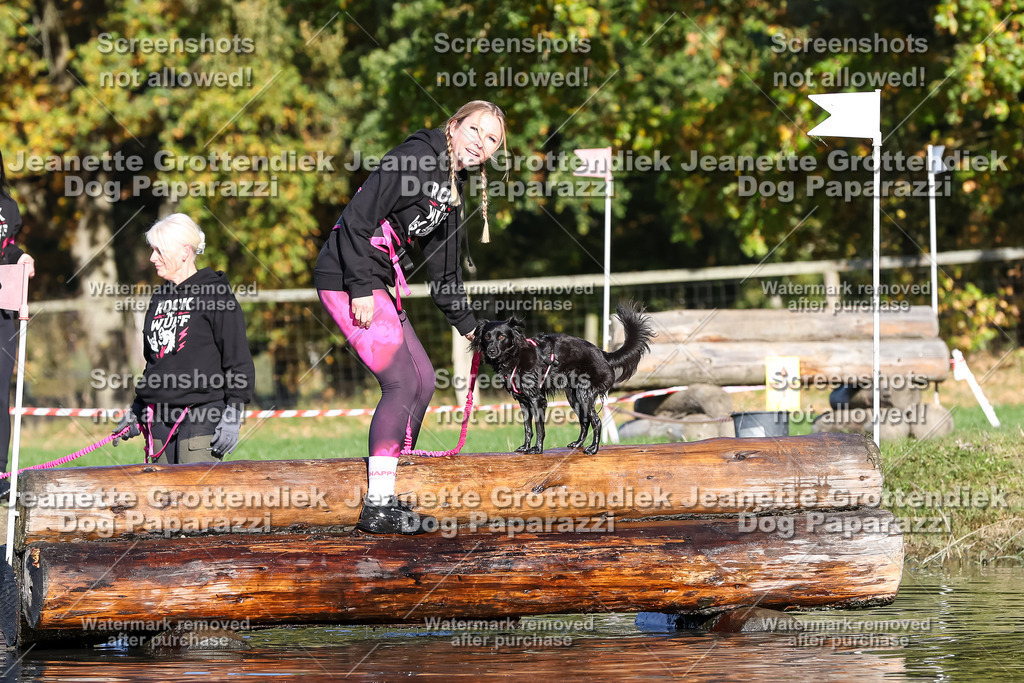 Dog Paparazzi - Strongdog 10-25-8755 | Dog Paparazzi Jeanette Grottendiek Fotografie & Videografie - Realisiert mit Pictrs.com