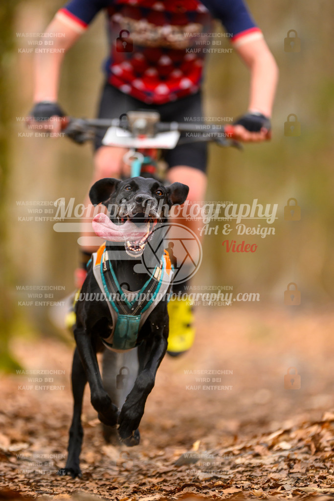 MompixPhotography_Habay2025_SA_Bike-74 | PayLife