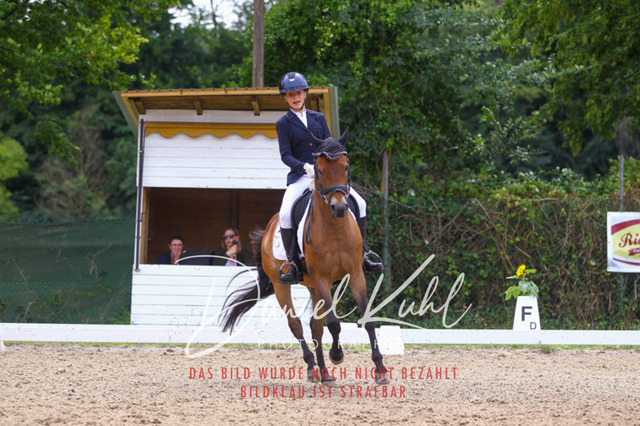 DKP42292 | Turniersportfotografie; Pferdefotografie; Dressurfotografie