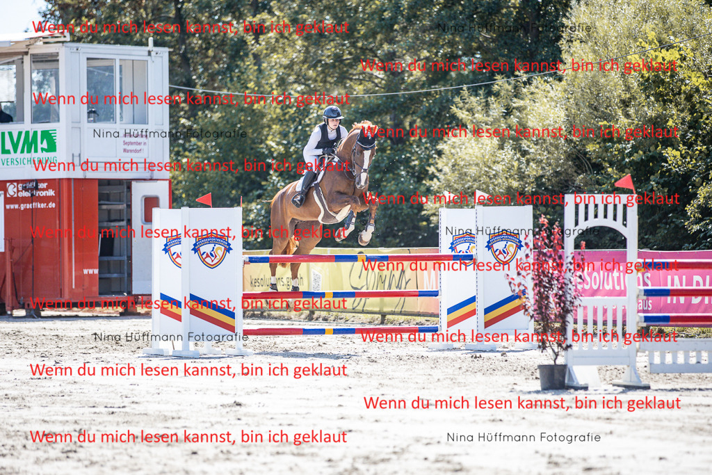 BK1A6370 | Turnierbilder Turnierfotos Nina Hüffmann Turnierfotografie Pferdefotografie Tierzeichnung Haustierzeichnung Pferdezeichnung Hundezeichnung Videograf  - Realisiert mit Pictrs.com