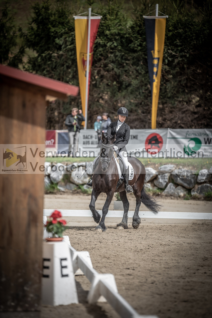 DSC_9170 | equestrian-live-com