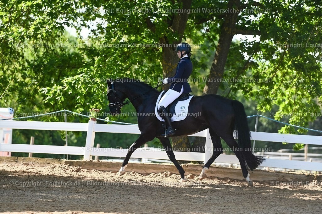 20230715_06_Dressurpferdeprfg. Kl.A_0252 | equistock