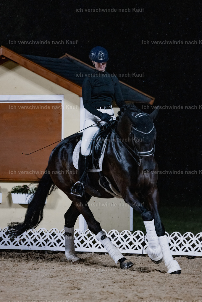 FHClassics-107 | working equitationturnier fotograf videograf stoibphotography marixx film working equitation deutschland reitsport turnierfotografie eventfotografie equestrian events