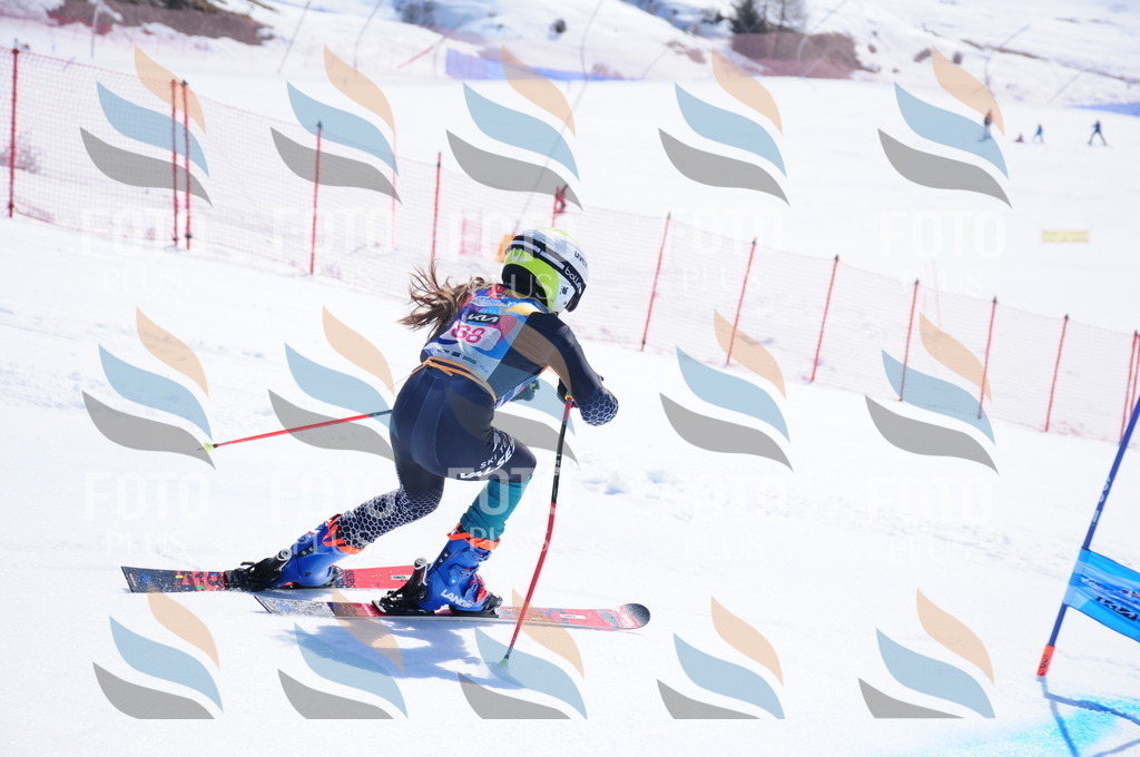 DSC_4613 | holidayphoto