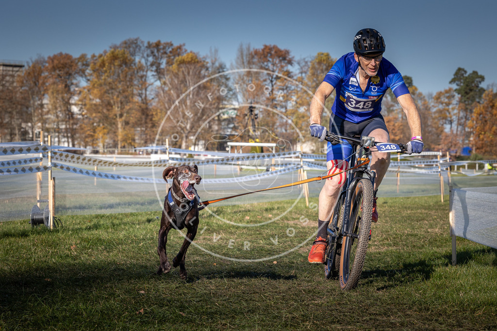 CaniXpix_0L8A6037 | Hundefotografie, Tierfotograf, Pfotenfotografie, Fotoshooting Hund, Hunde Portrait, Hundesport, Hundeportraits, Heideshooting, Hunde, Sportfotograf, Hundefotograf, Turnierhundsport, THS,  - Realisiert mit Pictrs.com