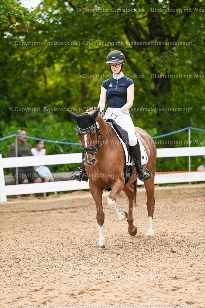 20230715_07_Dressurpferdeprfg. Kl.L_0081 | equistock