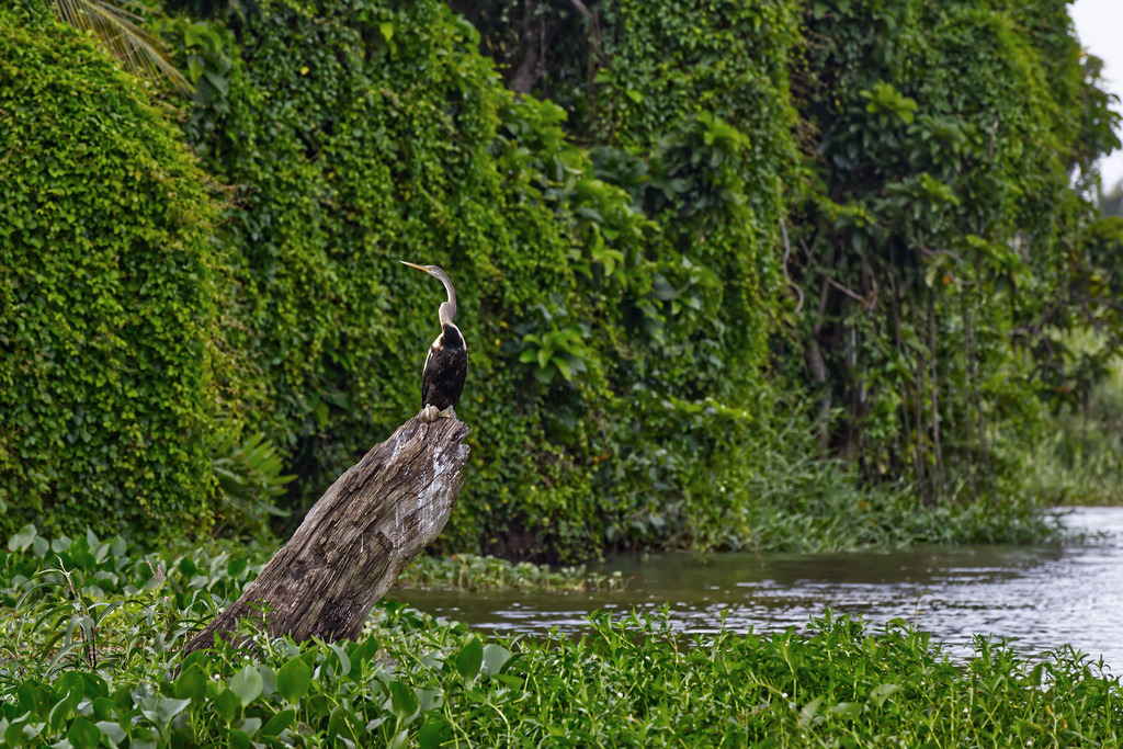 1H5A0796 | ansichtssache