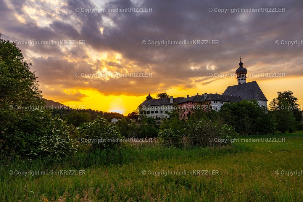 Höglwörther See | medienkrizzler - Realisiert mit Pictrs.com