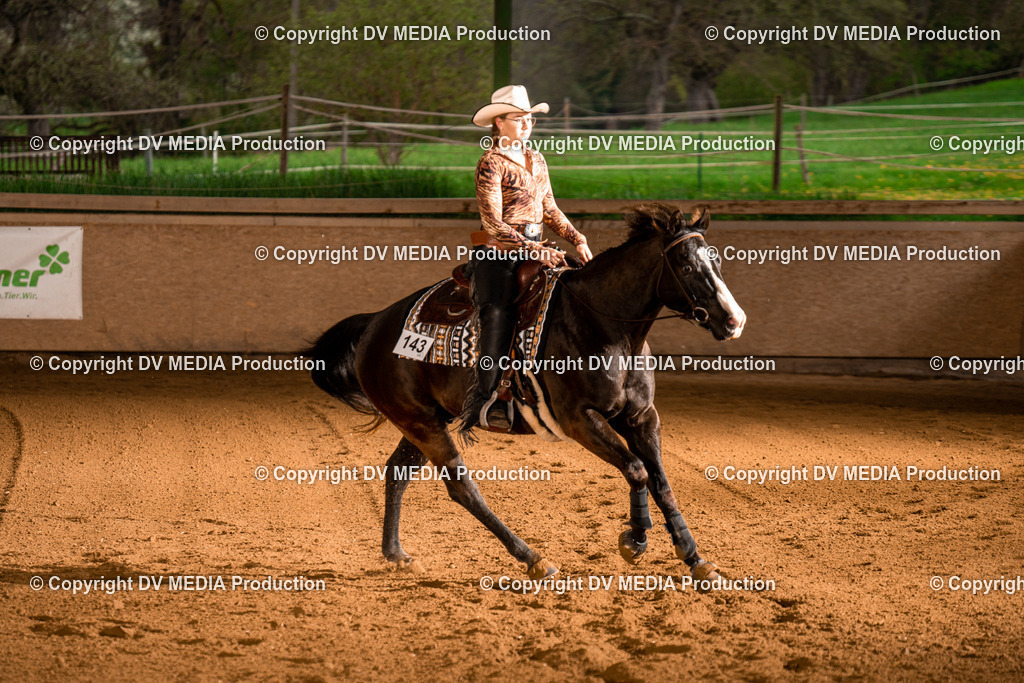 BAL01068 | dv-media-shop - Realisiert mit Pictrs.com