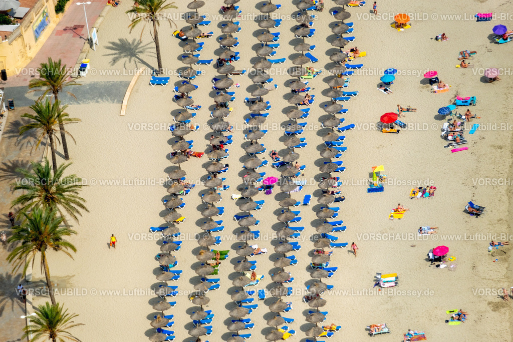 Mallorca230600294N | Luftbild, Strandleben mit Sonnenliegen und Sonnenschirmen, Strand von Palmira am Passeig Maritim de Palmira, Playa Palmira, Peguera, Calvia, Balearen, Mallorca, Balearische Inseln, Spanien