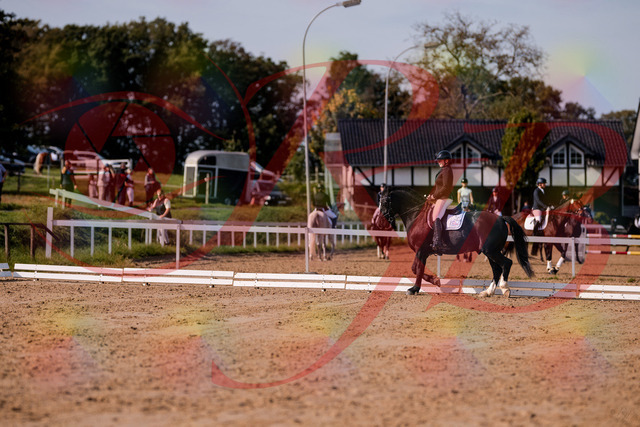 2026_10_03_Siefer-Hof_120635_Z81_07382879 | Professionelle Reitsport-, Turnier- und Eventfotografie von Robert Broda. Galerien mit ausgewählten und bearbeiteten Bildern direkt online ansehen und bestellen.