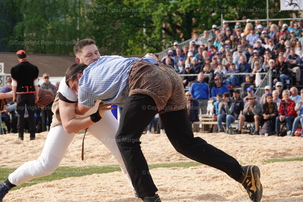 DSC03594 | Schwingen - Realisiert mit Pictrs.com