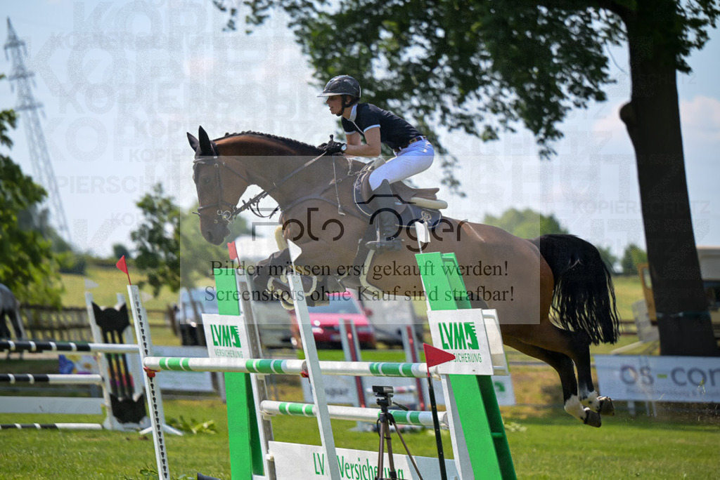 Reitturnier Voxtrup | Entdecke hochwertige Reitturnierfotos von Foto Oger. Professionell, emotional und authentisch – jetzt Lieblingsmomente im Shop bestellen.Deutschlandweite Turnierfotografie. - Realized with Pictrs.com