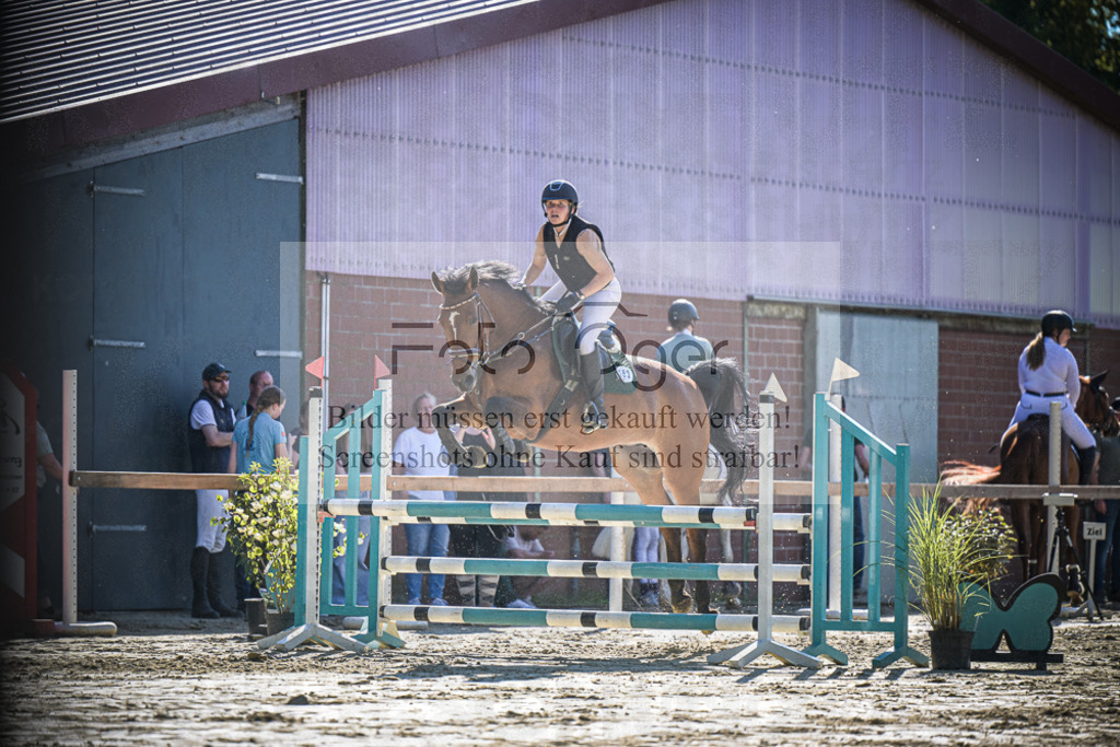 DOS_3503 | Entdecke hochwertige Reitturnierfotos von Foto Oger. Professionell, emotional und authentisch – jetzt Lieblingsmomente im Shop bestellen. - Realisiert mit Pictrs.com