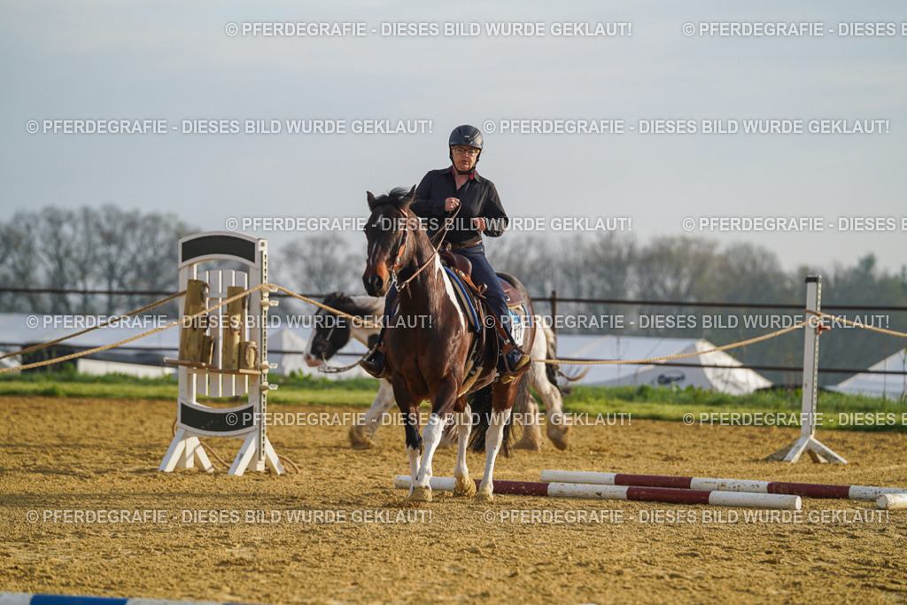 DSC09876 | Pferdegrafie