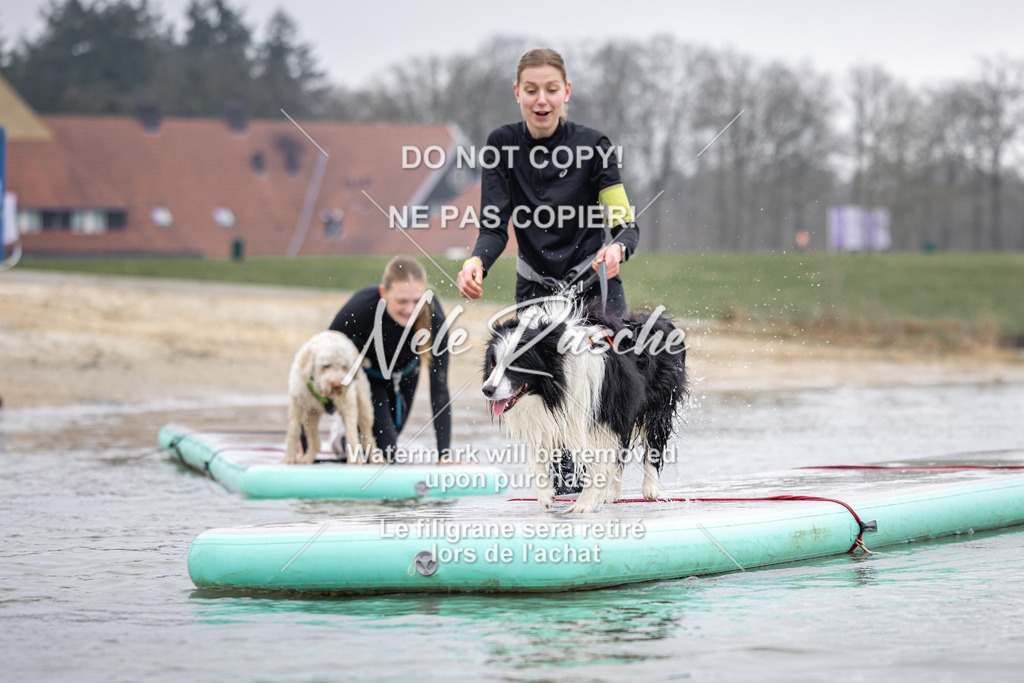 nelerasche_Hulsbeek_Sa1130-1230_62 | nelerasche