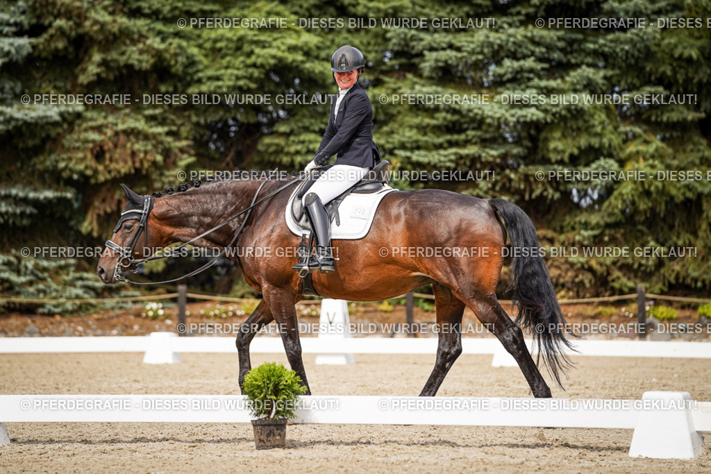 DSC06250 | Pferdegrafie