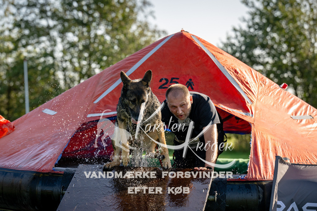1107-91775 | kk-dogfotos